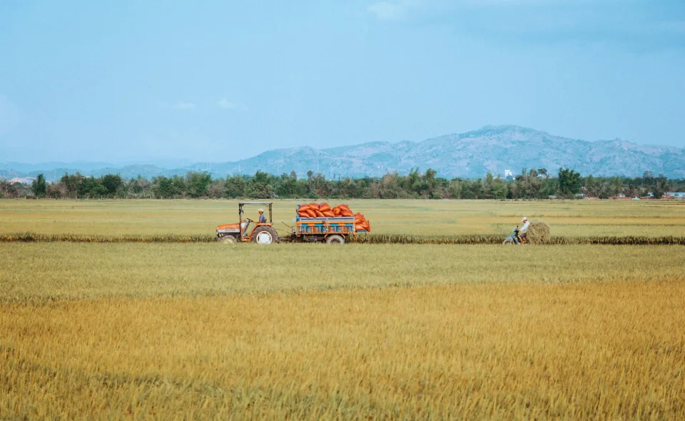 Kho gạo của Đặng Thị Hà